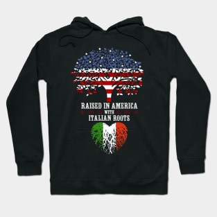 Raised in America with Italian Roots Hoodie